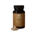 collagen_plus.png